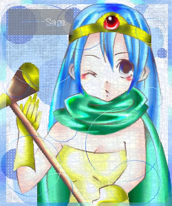 女賢者のエロ度:2