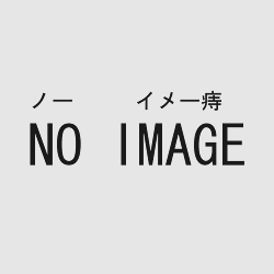 ノー イメー痔