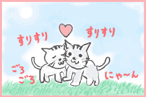 なぜか猫!